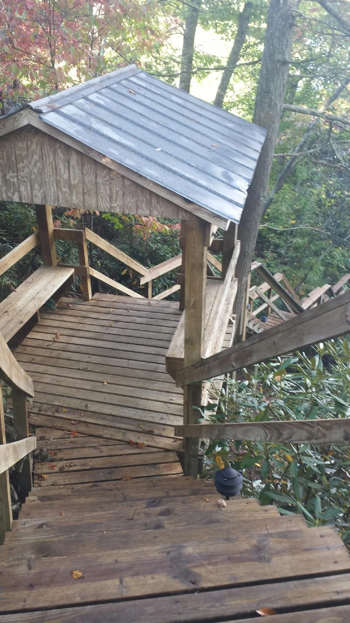Metal roofed shelter over wooden steps on a wooded walkway — Skylight Repair & Installation work by our crew in Saginaw