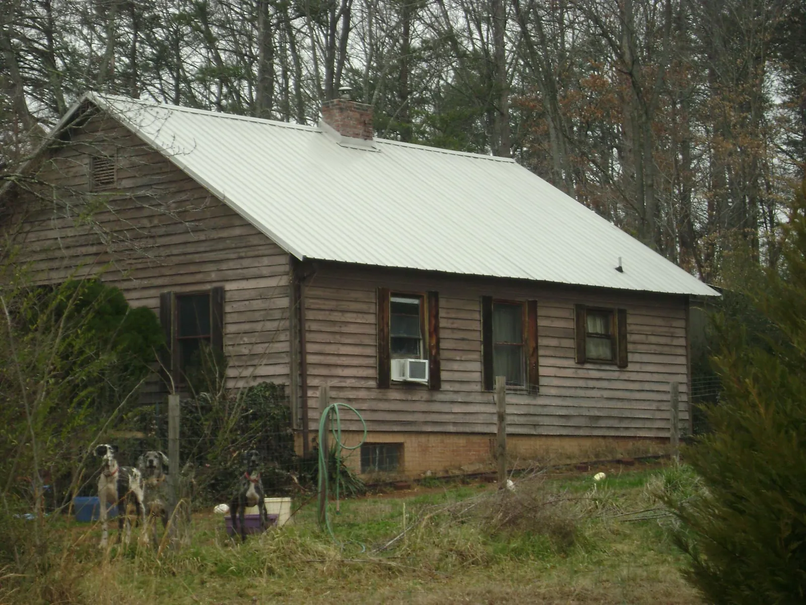 White metal roof on an old wood sided farmhouse, from a Asphalt Shingle Roof Repair job in Saginaw